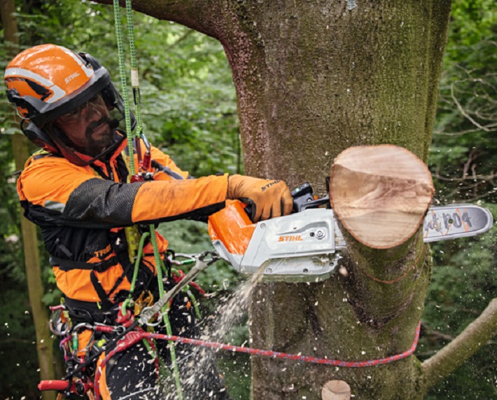 Motosega a batteria Stihl MSA 220 TC-O - Corvezzo Giuseppe